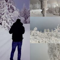 Viktor (@viktor97737317) 's Twitter Profile