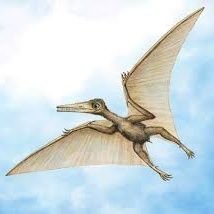 pterofactyl Profile Picture