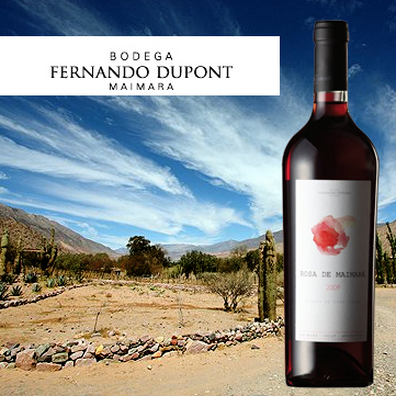 El primer emprendimiento vitivinícola de la Quebrada de Humahuaca, producimos vinos únicos con la tipicidad propia que nos proporciona una altura de 2500 metros