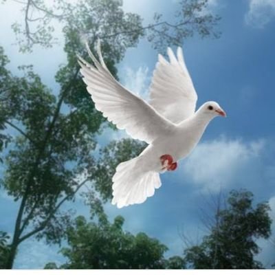 God Judges Sin. Repent and Receive Jesus. Jesus already Paid for our sins a heavy price.