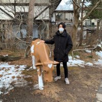 くぼやん (@z_t0) 's Twitter Profile