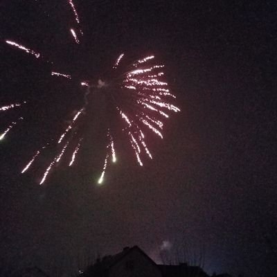 Perihan01248639's profile picture. 