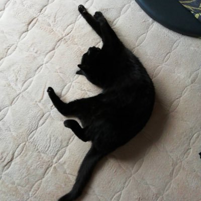 池田さんのプロフィール画像