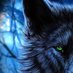 Wolfa (@wolfa05) Twitter profile photo Wolfa (@wolfa05) Twitter profile photo