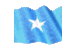 Abshir_tallman's profile image