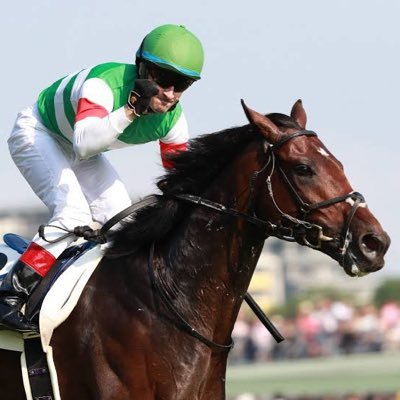 dtfkeiba's profile picture. 毎週競馬予想noteでやってます。競馬雑談🤗ありがとうございます。これからも私なりの切り口で有意義な情報お届け致します。好きな馬グラスワンダー・スキップアウェイ・ルーラーシップ ・フリオーソ