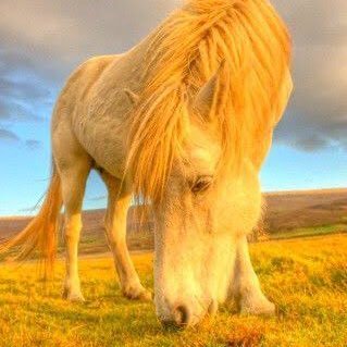 競馬大好き。365日競馬予想やってます♪ 独自のデータ分析で年間回収率150%以上を叩き出す馬券師です! 中央と地方両方の予想をツイートしていくのでフォローよろしくお願いします🤲noteはこちら→https://t.co/VTHn0anqD8 YouTubeもやってます↓