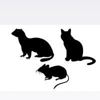 neil martin (@neilmartin1957) 's Twitter Profile Photo