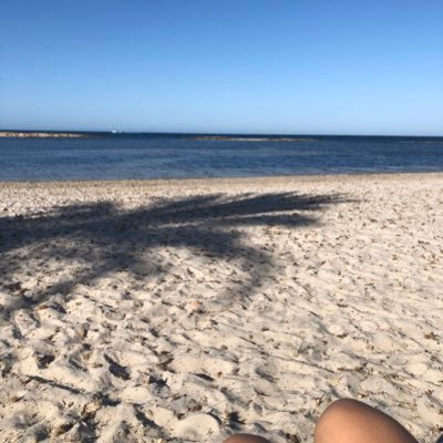 cnlibertad's profile picture. 