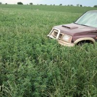 Angel (@angel99150381) 's Twitter Profile Photo