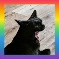 Birgit👣 Sappho🐾 Kalipso🐾 (@tigrilux) 's Twitter Profile Photo Birgit👣 Sappho🐾 Kalipso🐾 (@tigrilux) 's Twitter Profile Photo