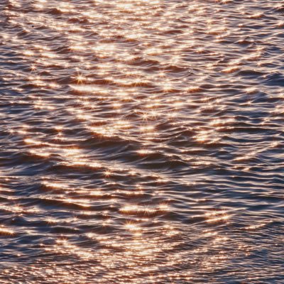 lanhw1's profile picture. Search for