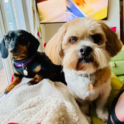 Passionate about cleaning the area I live & inspiring others to do the same, like lists & DIY within limits. Wife Gill,Lhasa Jake & Mini doxie Mylo are my pack.