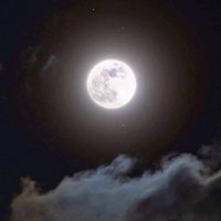 MoonFnF (@moon_fnf) 's Twitter Profile
