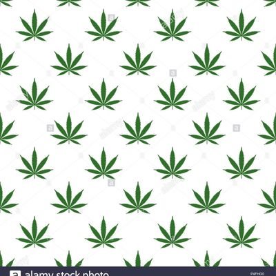 DABKING4201's profile picture. @Nonsocialbutte2