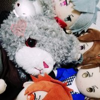 ミドナ🌞🍀🍖🧡 (@link0929) 's Twitter Profile Photo