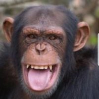 mico enfurismat(@estupefacte8) 's Twitter Profile Photo