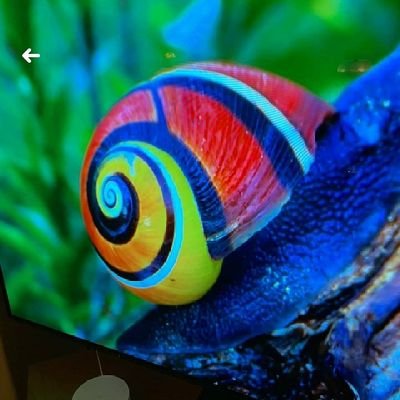 VasanthyM7's profile picture. 