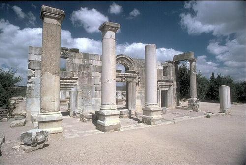 alponahuq's profile picture. 