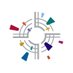 Presbyterian Association of Musicians (@presbymusic) Twitter profile photo Presbyterian Association of Musicians (@presbymusic) Twitter profile photo