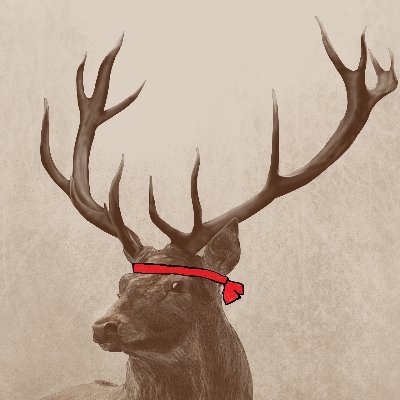 ttthhhaaaddd's profile picture. My bio.