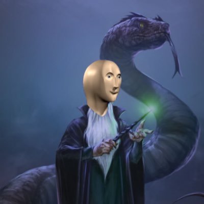 SalazarStonks's profile picture. Thoughts, opinions, maybe some facts & the occasional meme.