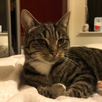 Lu Rocky (@lurocky2) 's Twitter Profile
