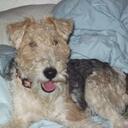 Marjorie OReilly - @margoreally - Twitter