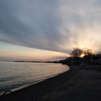 toricaruso's profile picture. 