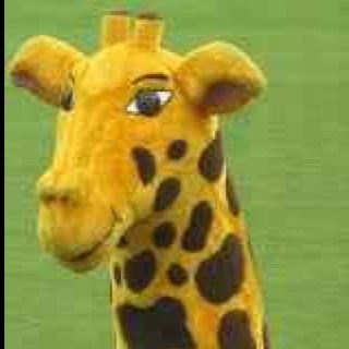 Mr_Lanky's profile picture. Tall