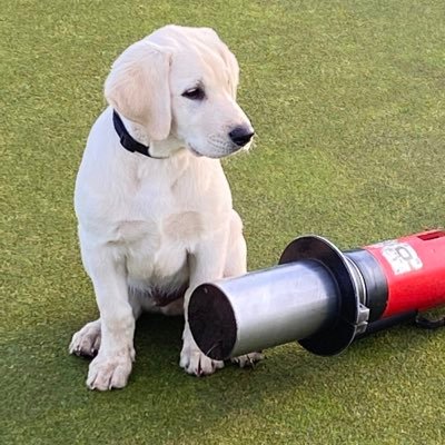 Golf Course Superintendent Stevens Point CC WI