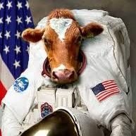 globullwarming's profile picture. 