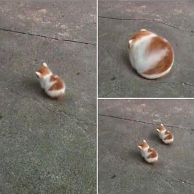 erzoelmatador's profile picture. 