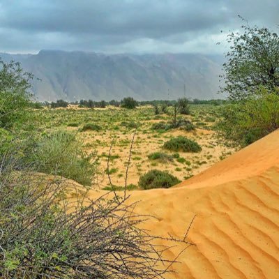 سبحان الله الحمدلله لا اله الا الله الله اكبر لاحول ولا قوة الا بالله