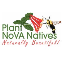 Plant NoVA Natives(@NovaNatives) 's Twitter Profile Photo