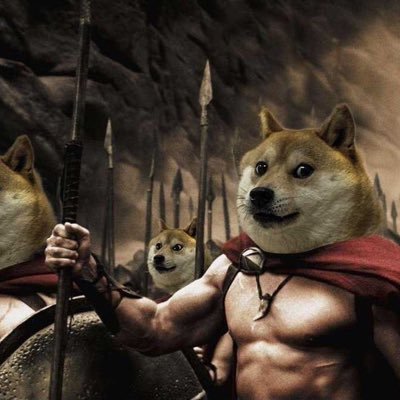 PopulistTrades's profile picture. #bitcoin #doge not financial advise, just love the currency. pretty much a parody.