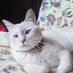 ねこ♀151cm→169cm (18㎝骨延長52才~54才) 55才日本人@LLC(トルコ) (@neko_precice) Twitter profile photo ねこ♀151cm→169cm (18㎝骨延長52才~54才) 55才日本人@LLC(トルコ) (@neko_precice) Twitter profile photo