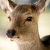 ljlai142857 (@142857ljlai) Twitter profile photo ljlai142857 (@142857ljlai) Twitter profile photo