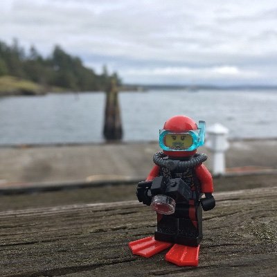 PhD student @LUMCONscience and @LSU_CCE | MSc Marine Biology @NUMarSci | She/her/hers | @NU_ThreeSeas XXXVIII | 🦪🎶🌊 |