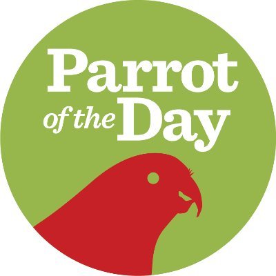 ParrotOfTheDay (eXiting). Find us on Insta/Threads