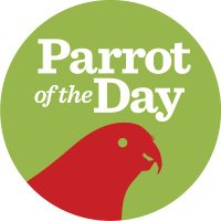 ParrotOfTheDay (eXiting). Find us on Insta/Threads(@ParrotOfTheDay) 's Twitter Profileg