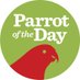 ParrotOfTheDay (eXiting). Find us on Insta/Threads (@ParrotOfTheDay) Twitter profile photo