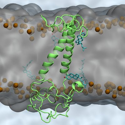 Twitter account of the Biomodelling Group run by Prof. Birgit Schiøtt at Aarhus University. We like snacks and science, in that order. Managed by a group member