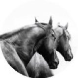 13Ndooo's profile picture. 