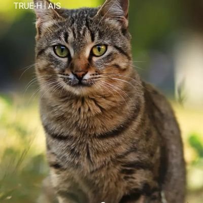 patr659's profile picture. ลองกองหวาน