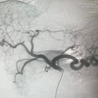 fakenotsecure's profile picture. 