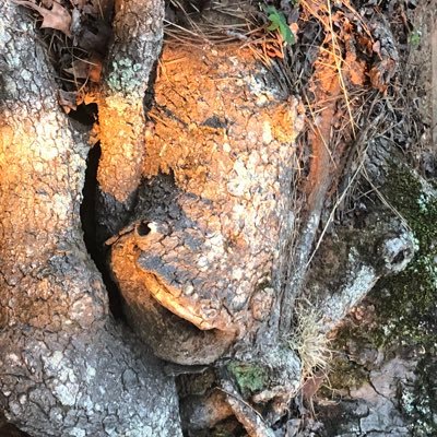 ericajcraig's profile picture. 