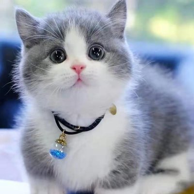 RitaCho18's profile picture. Let's be friends.