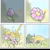 Ernesto (@ernestzorro) 's Twitter Profile