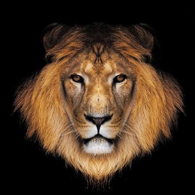 Never forget who you are!!!!